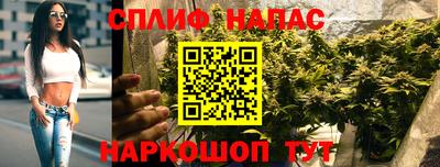 прущие грибы Коммунар
