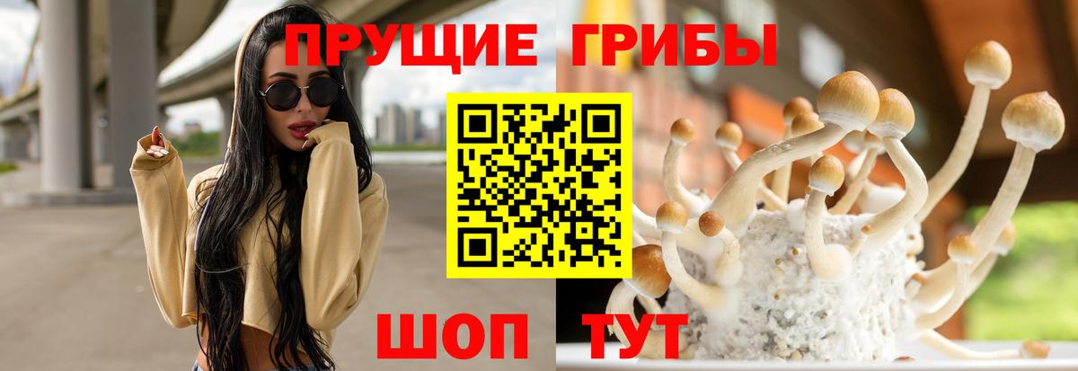Галлюциногенные грибы MAGIC MUSHROOMS  Вход с VPN  Фурманов  Псилоцибиновые грибы ЛСД 